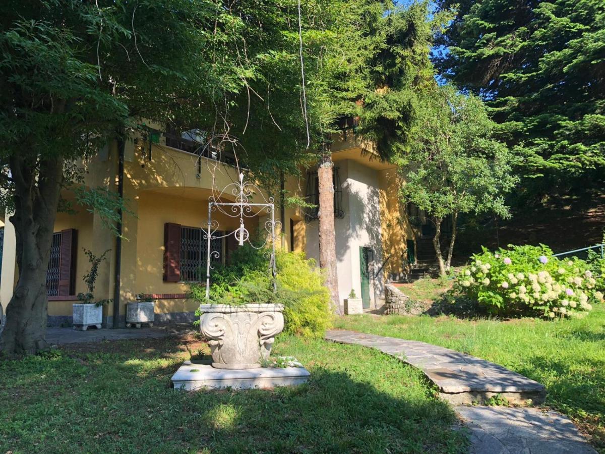 Villa Dei Cedri Asso Экстерьер фото